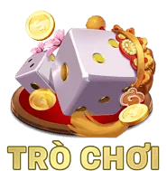 Liên Kết Dự Phòng